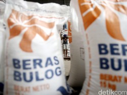 Mengintip Stok Pangan Bulog di Tengah Pandemi Corona, Cukup?