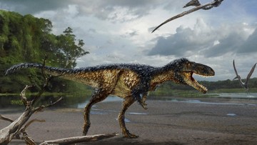 Ditemukan Bukti Baru Penyebab Kepunahan Dinosaurus
