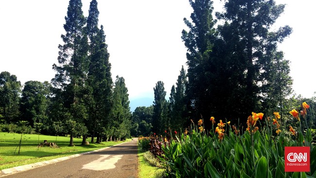 Hari ini, 200 tahun lalu, Kebun Raya Bogor dibangun. Apa yang sudah dicapai kebun raya ini setelah 2 abad dan apa rencana ke depan?