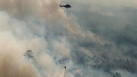 Aparat Dinilai Tak Berani Jerat Korporasi Pembakar Hutan