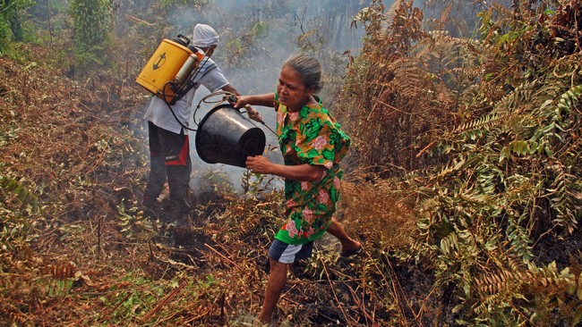 1 dari 4 Warga Meranti Miskin di Tengah Limpahan Produksi Minyak Kabupaten Meranti, Riau merupakan salah satu daerah penghasil minyak di Indonesia. Namun, angka kemiskinannya masih tinggi.