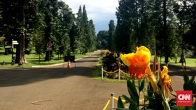 Kebun Raya Bogor Tutup saat <i>May Day</i>