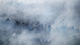 Riset: Kebakaran Hutan Sebabkan 100 Ribu Kasus Kematian Dini