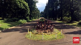 Kebun Raya Bogor Tetap Buka untuk Umum Saat Kunjungan Obama