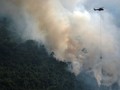 Bakar Hutan, Perusahaan Dihukum Ganti Rugi Rp1 Triliun