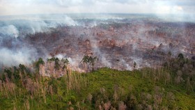Sinar Mas Rampungkan Pembangunan 118 Desa Penangkal Api