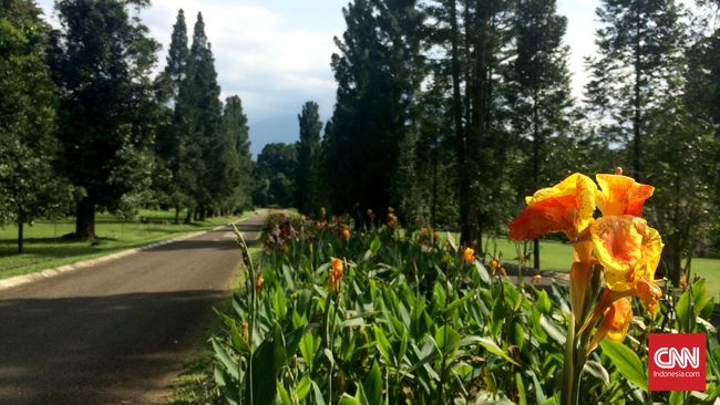 LIPI Keluhkan Terbatasnya Peneliti Flora di Indonesia LIPI mengatakan jumlah peneliti di Indonesia tidak sebanding dengan kekayaan jenis flora yang ada.