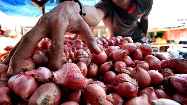 Saat ini produksi bawang merah nasional mencapai 100 ribu ton per bulan, lebih tinggi dibanding konsumsi masyarakat yang mencapai 90 ribu ton per bulan.