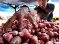 Data BPS, Terjadi Deflasi 0,10 Persen karena Bawang Merah