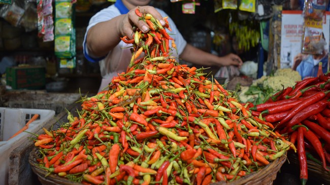 Kenaikan Harga Cabai Rawit Capai Rp73 Ribu, Sementara Komoditas Lain Mereda