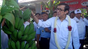 Menkumham: Narkotik di Lapas karena Ada Perselingkuhan Uang