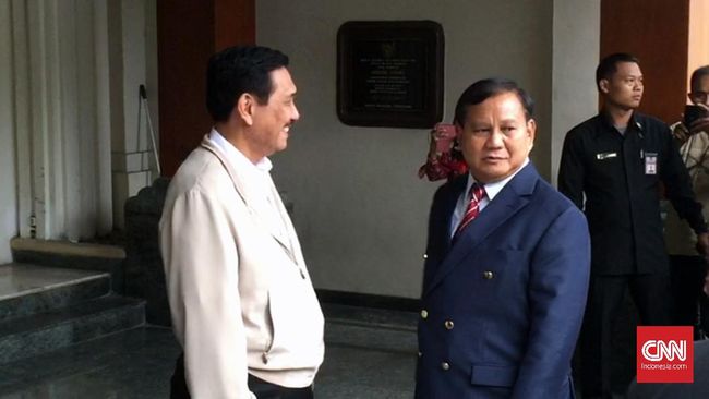 Luhut Masuk Pemerintahan Prabowo, Jadi Ketua Dewan Ekonomi Nasional