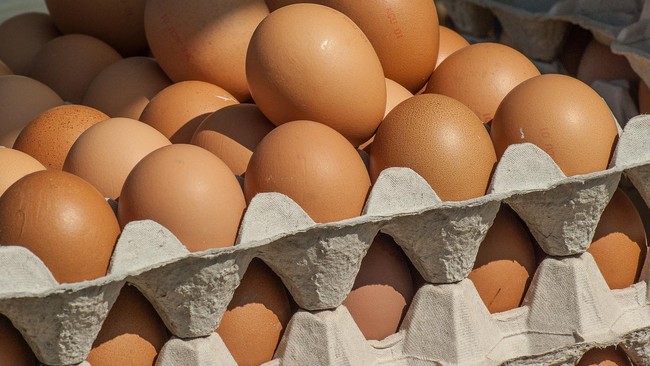 Kementerian Pertanian menyebut Indonesia tidak memiliki cadangan bahan pangan yang mengandung protein saat ini, seperti ayam dan telur ayam.