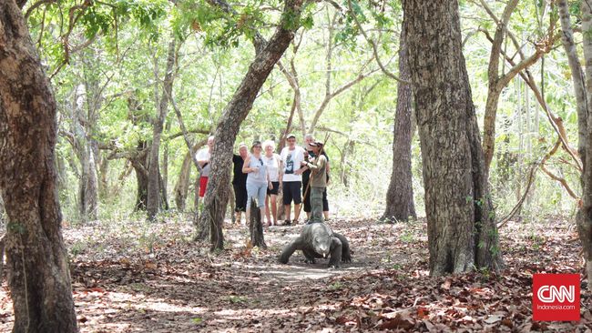Kementerian LHK akan mengundang Pemerintah Provinsi NTT untuk membahas lebih lanjut penutupan Taman Nasional Komodo dari kunjungan turis.