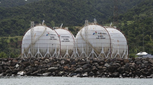 Menperin Agus Gumiwang akui terima banyak keluhan dari industri karena harga gas murah melalui kebijakan Harga Gas Bumi Tertentu (HGBT) belum berlaku.