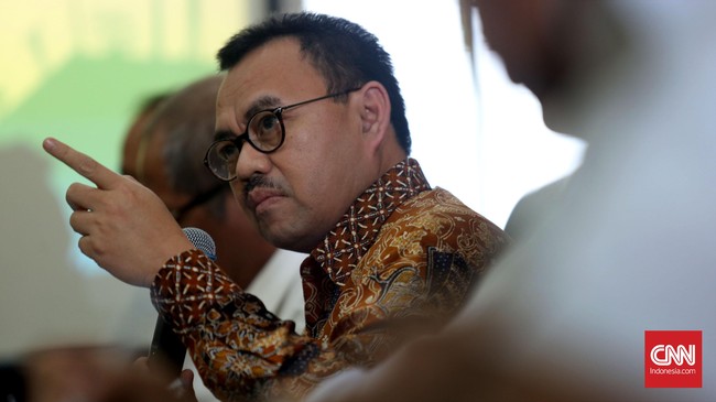 Menteri Energi dan Sumber Daya Mineral Sudirman Said mengaku sudah tidak tahan lagi dengan sikap manajemen PLN yang sering melawan kebijakannya.