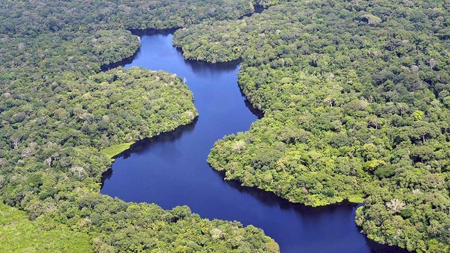 Pihak berwenang Brasil melaporkan sebuah kapal terbalik di sungai hutan Amazon, sekitar 18 orang tewas dan 30 orang hilang.
