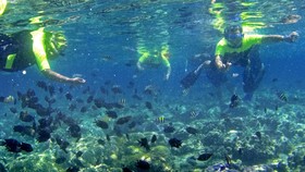 5 Tempat di Pulau Seribu yang Bagus untuk Snorkeling