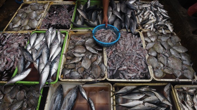 Pemerintah resmi melarang sementara impor binatang hidup dari China, kecuali produk ikan dan perikanan.