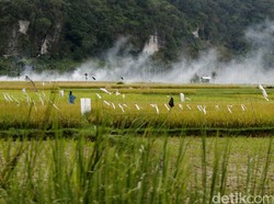 Tingkatkan Ketahanan Pangan, Jabar Targetkan 40 Ribu Ton Cadangan Beras