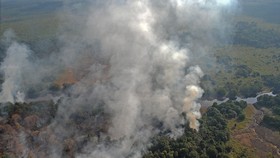 Ribuan Hektare Hutan di Samosir Terbakar