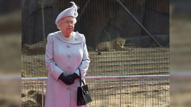 Bukan hal aneh jika Ratu Elizabeth punya banyak tas untuk dikenakan di berbagai kesempatan. Tapi, berapa nilai seluruh koleksinya?