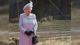 Berapa Harga Tas Ratu Elizabeth?