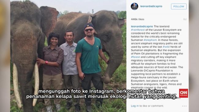 Berjudul 'Before the Flood', film dokumenter tersebut turut menampilkan kebakaran hutan di Indonesia, dan kunjungan DiCaprio saat berada di Aceh.