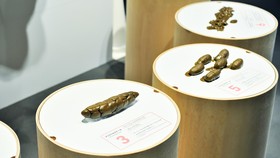 Inggris Buka Museum Kotoran