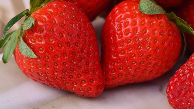 Strawberry merupakan buah yang digemari banyak orang karena rasanya yang enak perpaduan manis dan asam. Simak ragam manfaat buah strawberry berikut ini.
