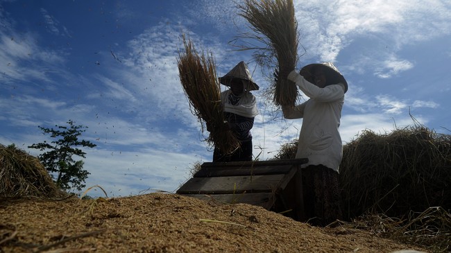 BPS mencatat daya beli petani Agustus 2019 menguat, tercermin dari nilai tukar petani nasional bulan lalu sebesar 103,22 atau naik 0,58 persen dibanding Juli.