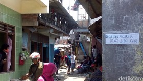 Riwayat Kampung Akuarium, Penelitian Hingga Penggusuran