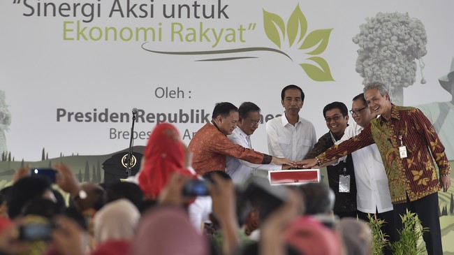 Kontribusi UMKM terhadap investasi nasional mencapai 50 persen per tahun. UMKM juga mampu menyerap angkatan kerja hingga 97 persen.
