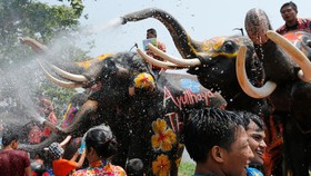 Main Air Dengan Gajah Warna-Warni di Festival Songkran