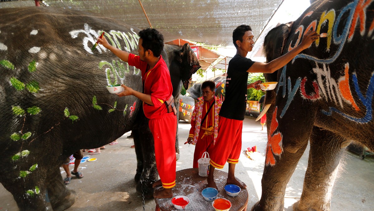 Main Air Dengan Gajah Warna-Warni di Festival Songkran