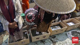 Patmi, Petani yang Berpulang Usai Dipasung Semen