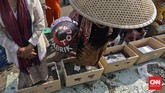 Merendam Kaki di Semen demi Pegunungan Kendeng Di depan Istana Negara, sembilan pasang kaki dibenamkan ke adonan semen sebagai bentuk penolakan atas pabrik semen di Pegunungan Kendeng, Rembang.