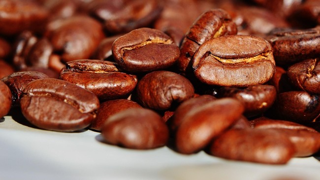 biji kopi papua