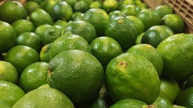 5 Manfaat Mengejutkan Jeruk Nipis untuk Wajah, Bikin Kinclong