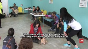 Kafe Anjing Pertama AS Dibuka di Los Angeles