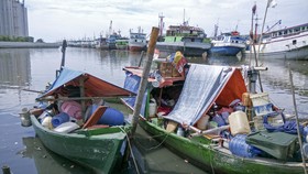 Nasib Warga Pasar Ikan Menjadi Manusia Perahu