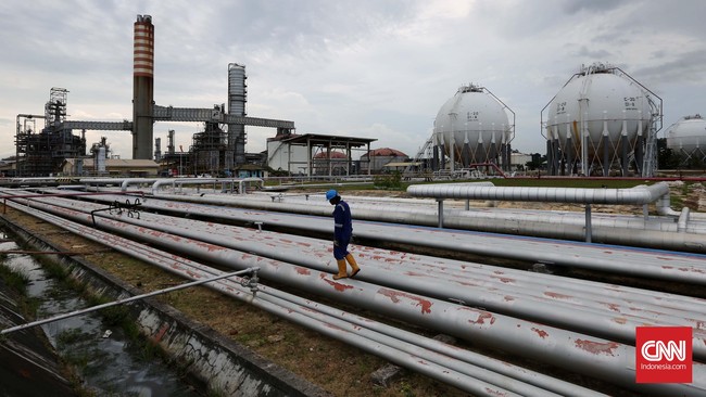 Tumpahan minyak di Teluk Balikpapan, Kaltim, mengancam kehidupan di laut dan nelayan. Jatam menuntut tanggung jawab Pertamina dan lembaga terkait.