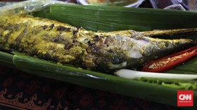Harga Fantastis Jeroan Ikan Malung di Jambi Rp7 Juta