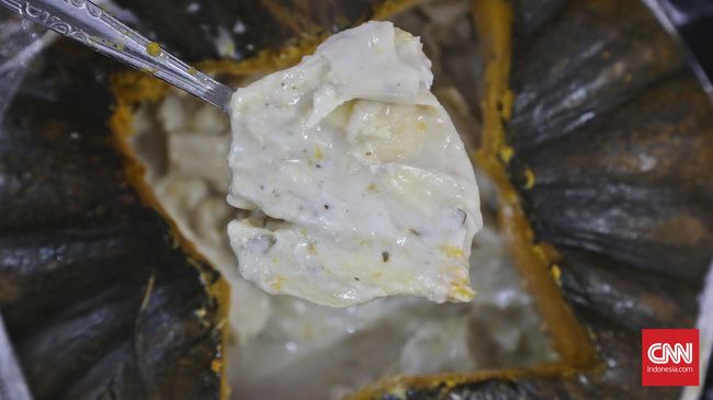 Bonggol palem yang tumbuh di hutan pesisir Kendari ini berukuran besar: tinggi satu meter, diameter 20 centimeter, bobot satu kilogram.