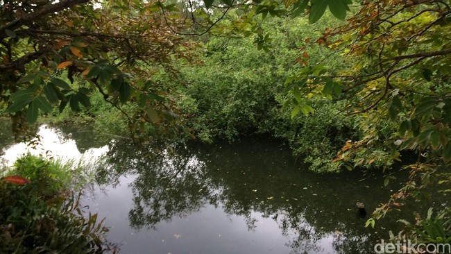 Konsep HTR dibentuk sebagai upaya merevitalisasi sektor hutan yang pada akhirnya dapat meningkatkan kesejahteraan masyarakat dan kelestarian hutan.