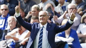 Ditangani Ranieri, Fulham Mulai Dijagokan di Bursa Taruhan