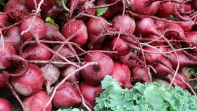 Trik Membuat Buah Bit Tak Lagi Bau 'Tanah'