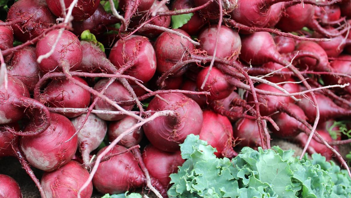 Makanan Apa Saja yang Harus Dikonsumsi agar Pembuluh Darah Lancar?