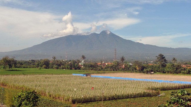 Empat siswi SMA Al Bashriyah dilaporkan tersesat di Gunung Salak, Bogor, Jawa Barat. Mereka mendaki Minggu pagi dan lenyap kontak pada malam harinya.