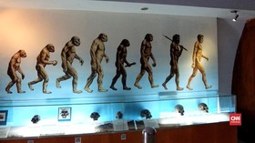 Mencari Jawaban Evolusi Manusia Purba Jadi Manusia Urban